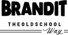 我们的用户 - 雷速